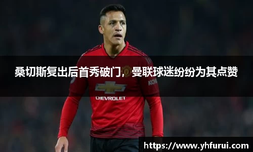 28圈.ccmpc正版
