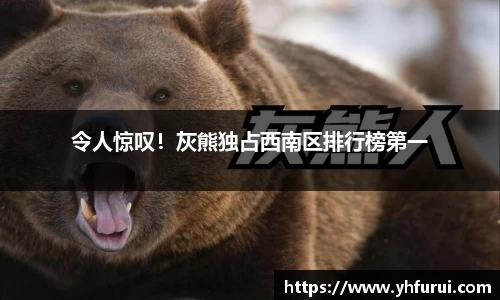 令人惊叹！灰熊独占西南区排行榜第一