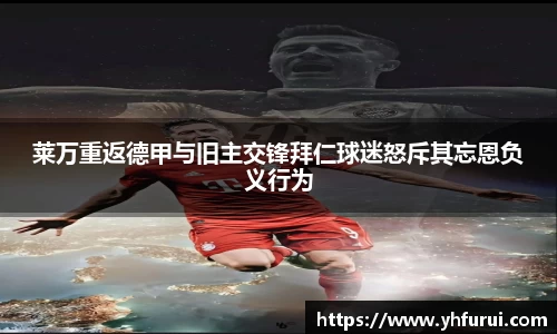 28圈.ccmpc正版