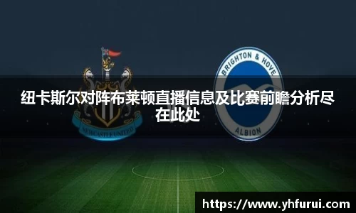 28圈.ccmpc正版